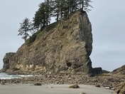 Olympic National Park