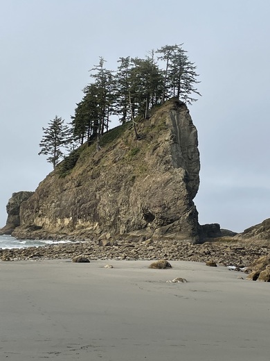 Olympic National Park