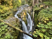 Olympic National Park 