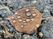 Cache National Forest 