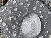 Cache National Forest , Idaho 