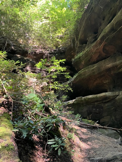 Daniel Boone National Forest 