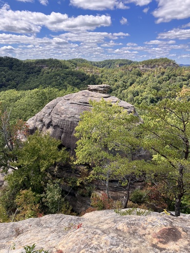 Daniel Boone National Forest 