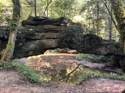 Daniel Boone National Forest 