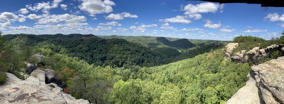 Daniel Boone National Forest 