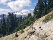 North Cascades National Park