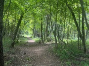 Shenandoah National Park