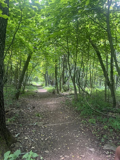 Shenandoah National Park