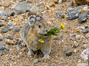 Rocky Mountain National Park