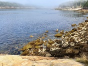 Acadia National Park 