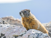 Rocky Mountain National Park