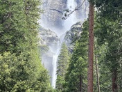 Yosemite National Park