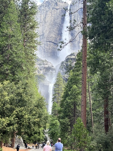 Yosemite National Park