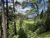 Yosemite National Park 