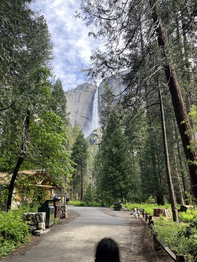 Yosemite National Park