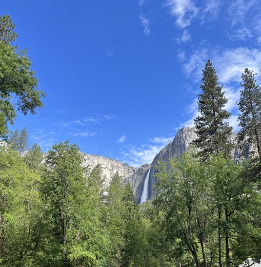 Yosemite National Park 