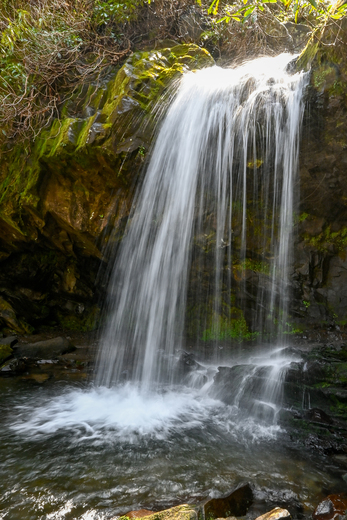 Great Smoky Mountains National Park