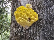 Yosemite National Park