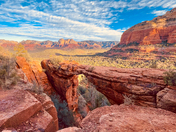 Coconino National Forest
