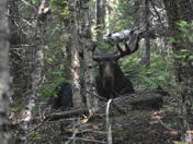 Isle Royale National Park