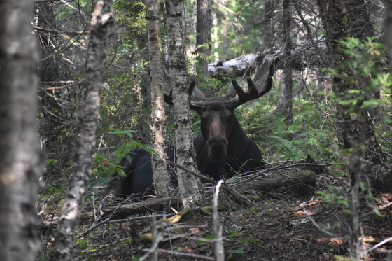 Isle Royale National Park