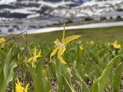 Glacier National Park