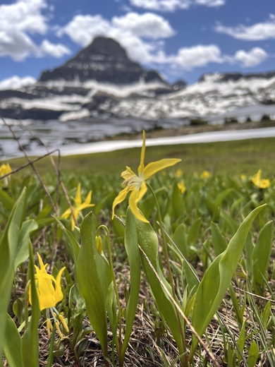 Glacier National Park