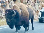 Yellowstone National Park 