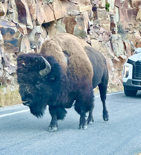 Yellowstone National Park 