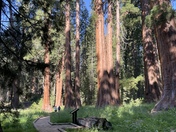 Sequoia National Park
