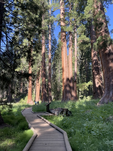Sequoia National Park