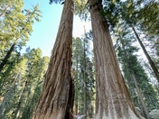 Sequoia National Park