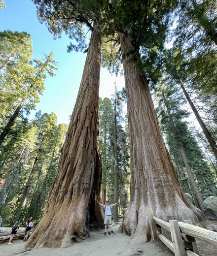 Sequoia National Park