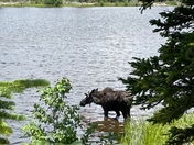 Rocky Mountain National Park