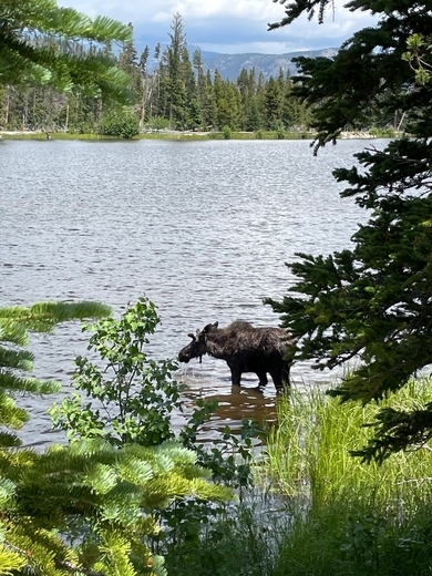 Rocky Mountain National Park