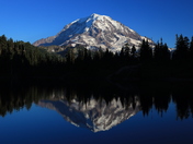 Mt Rainier National Park