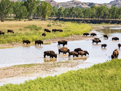 Theodore Roosevelt National Park