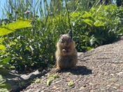 Glacier National Park
