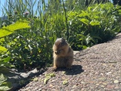 Glacier National Park