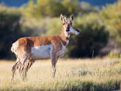 Arapaho National Wildlife Refuge 
