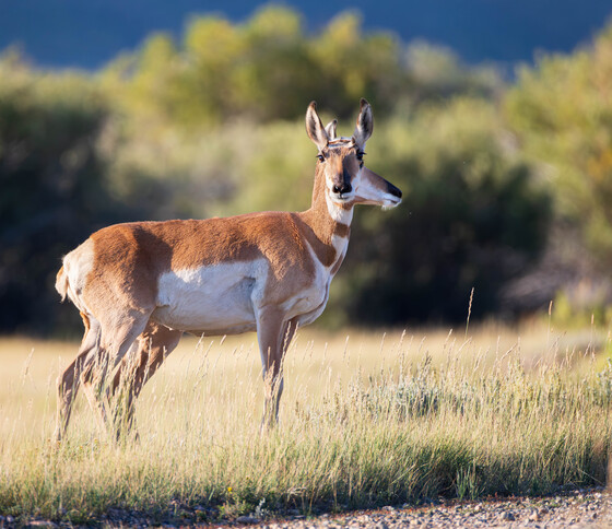 Arapaho National Wildlife Refuge 
