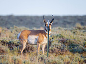Arapaho National Wildlife Refuge 