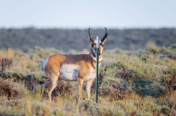 Arapaho National Wildlife Refuge 