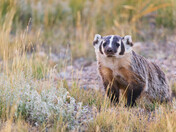 Arapaho national wildlife refuge 