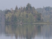 Superior National Forest