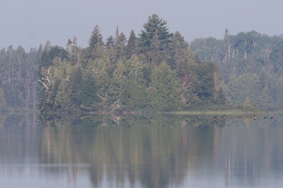 Superior National Forest