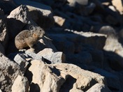 Lassen Volcanic National Park