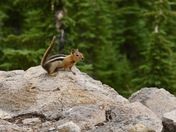 Lassen Volcanic National Park