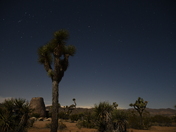 Joshua Tree National Park