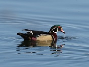 Mississippi National River & Recreation Area
